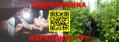 прущие крисы Уссурийск