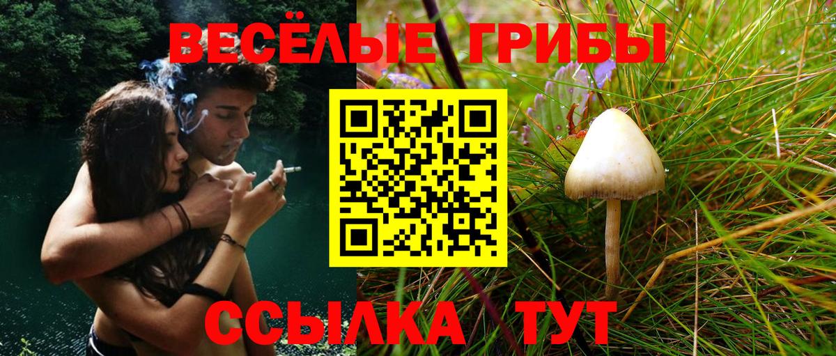 Галлюциногенные грибы GOLDEN TEACHER  Галлюциногенные грибы Psilocybe  Вход с VPN  Алексеевка 